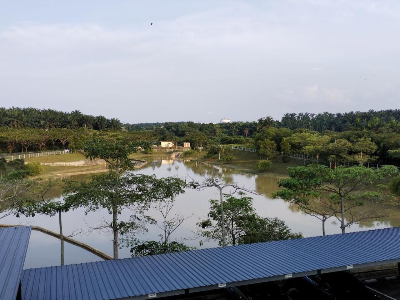 Camellia Forestview Seri Austin Near Eco Palladium By Harmony * Johor Bahru